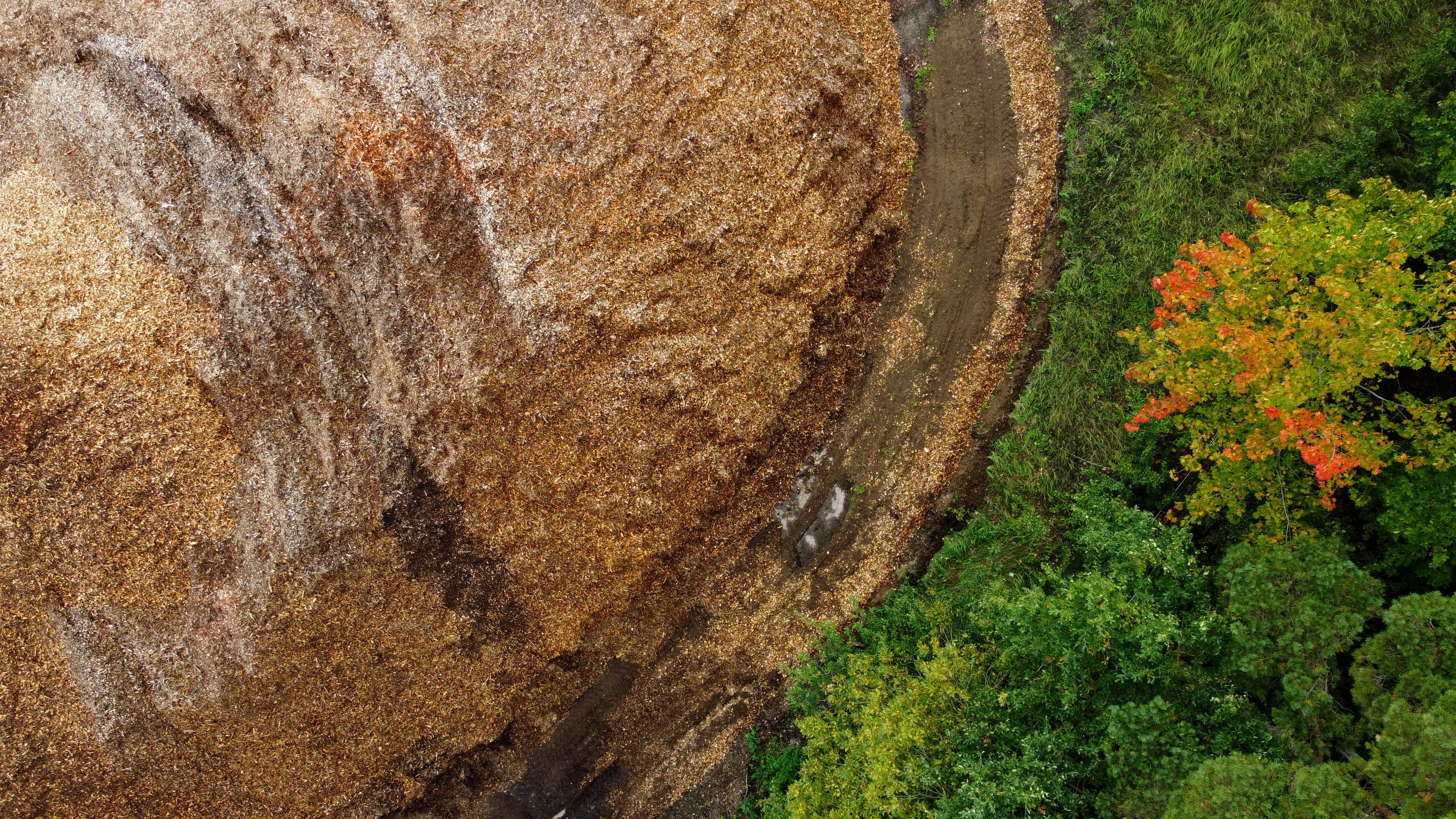 Kokmateriālu uzmērīšana ar dronu